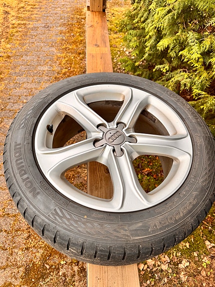 Audi vanteet kesärenkain