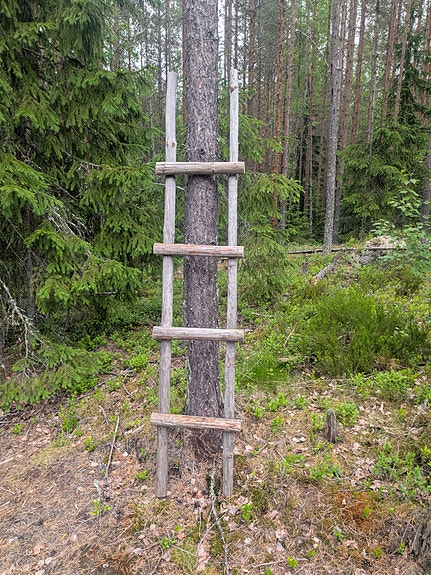 Rustiikkiset sisustus tikkaat