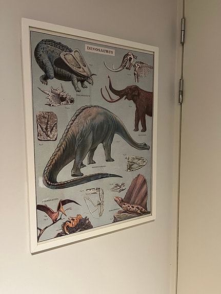 Valkoinen kehys dinosaurusjulisteella 50x70