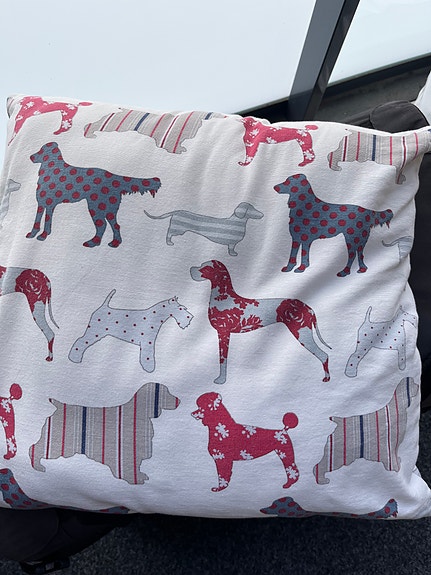 Koristetyynynpäällinen