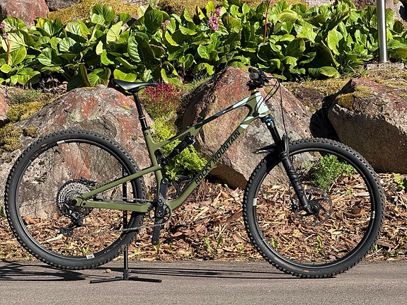 Rocky Mountain Element Carbon 50