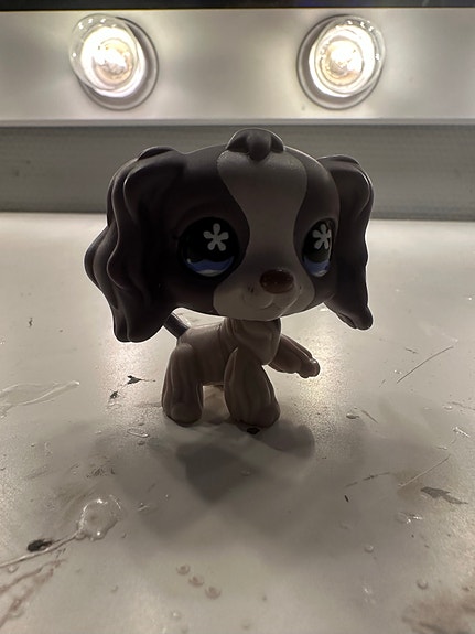 LPS liila cockerspaniel