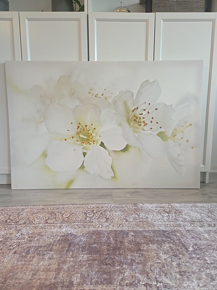 IKEA Pjätteryd taulu