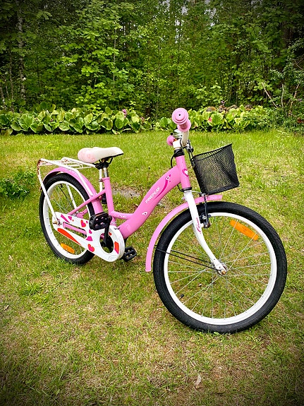 Lastenpyörä Pinepeak Principia 20"