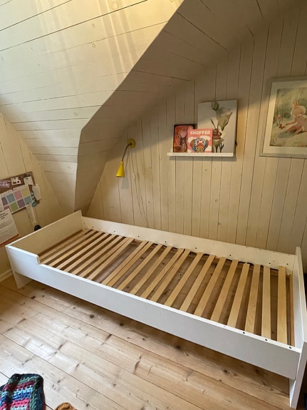 Muurame jungmanni
