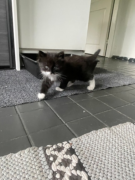 Product image 7 of 7