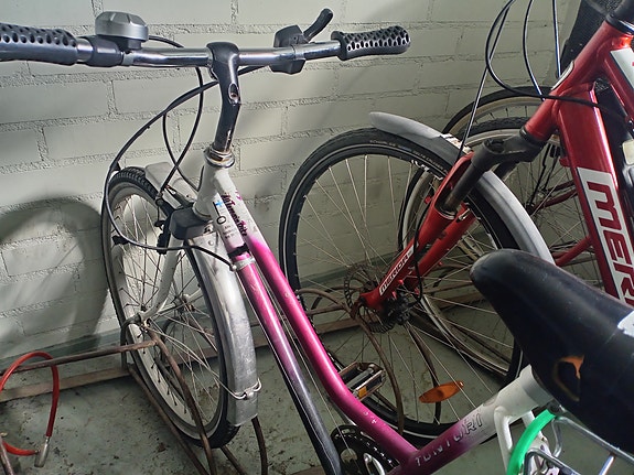 Tunturi naisten kaupunkipyörä S 20" pinkki/hopea