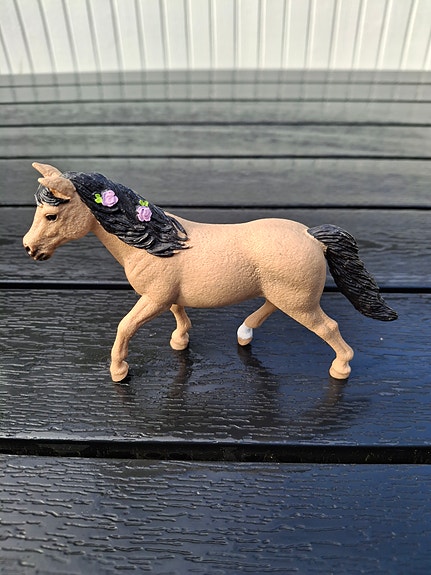 Schleich ponit