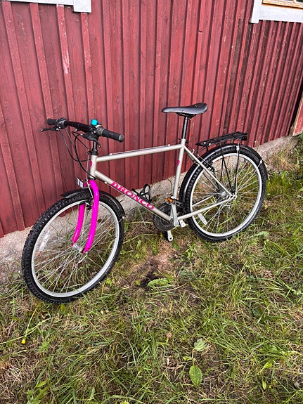 Bronco Vintage Mtb