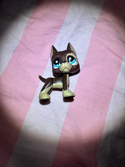 Littlest Pet Shop Tanskandoggi #817/2