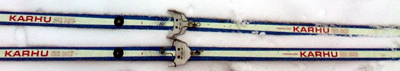 Karhun sukset