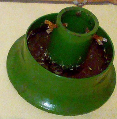 Joulukuusen jalka