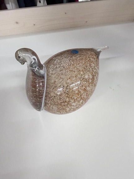 Meri-Lasi lintu