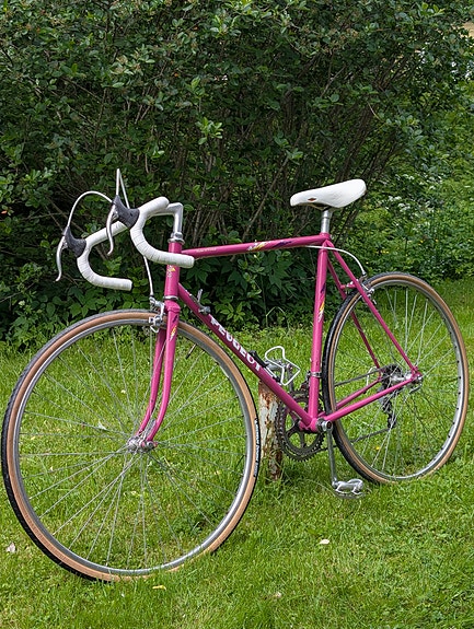 Peugeot 55cm