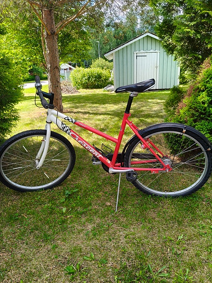 Crescent 26"