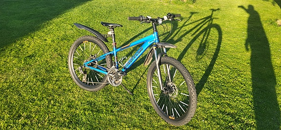 Madison Raptor
