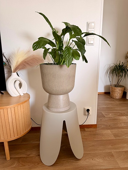 Peace Lily with Pot & Plant Stand – Excellent Condition