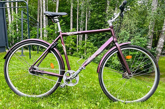 Z-Bike City Dog RB 56cm Nexus 8v
