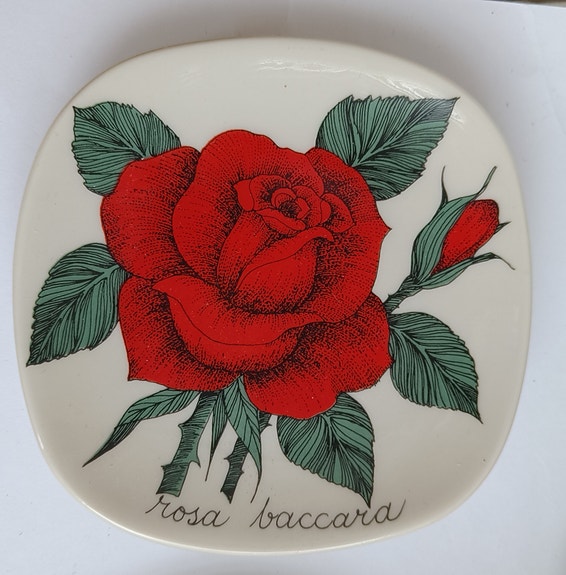 Arabia Rosa Baccara,  Tomula