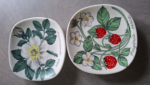 Esteri Tomulan seinälautaset