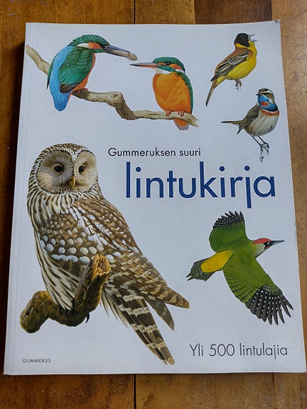 Gummeruksen suuri lintukirja