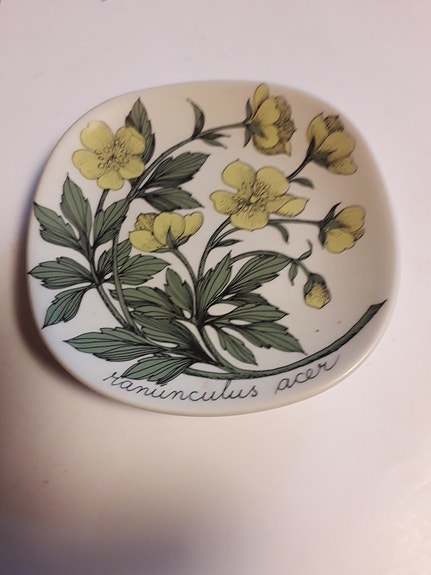 Arabia Esteri Tomula seinälautanen