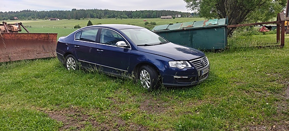 Passat B6 osina