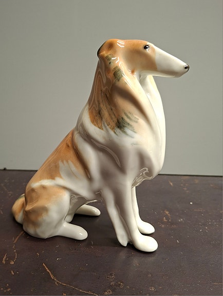 Lomonosovin collie