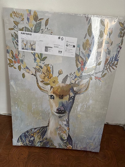 IKEA PJÄTTERYD taulut