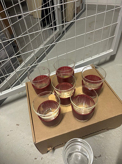 Iittala HotCool lasit