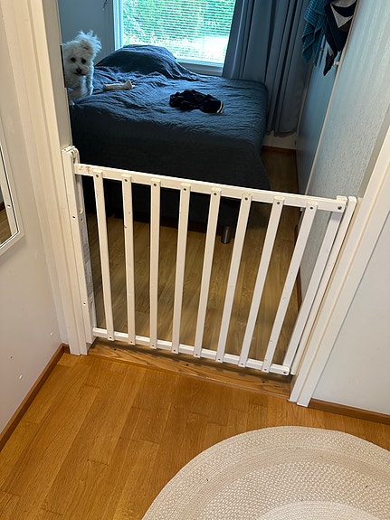 Valkoinen koiran turvaportti