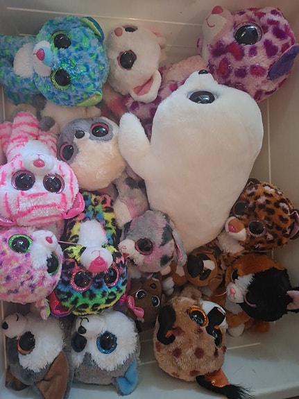 Ty Beanie Boos pehmolelu setti
