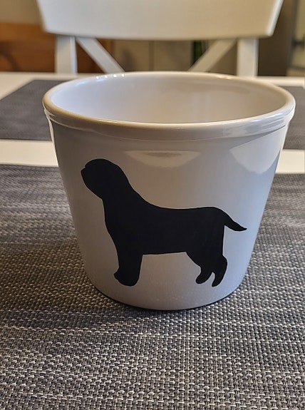 Valkoinen koira kukkaruukku (lagotto)