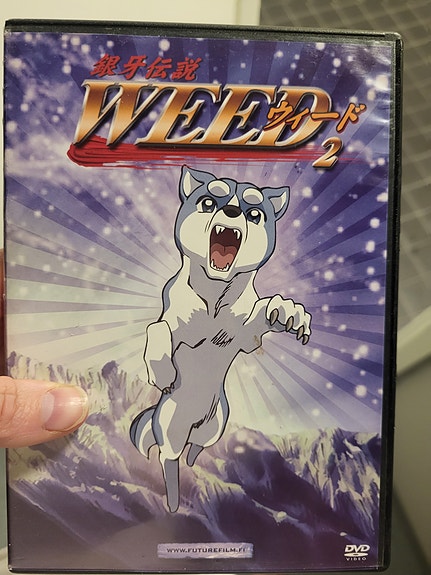 Hopeanuolen poika WEED