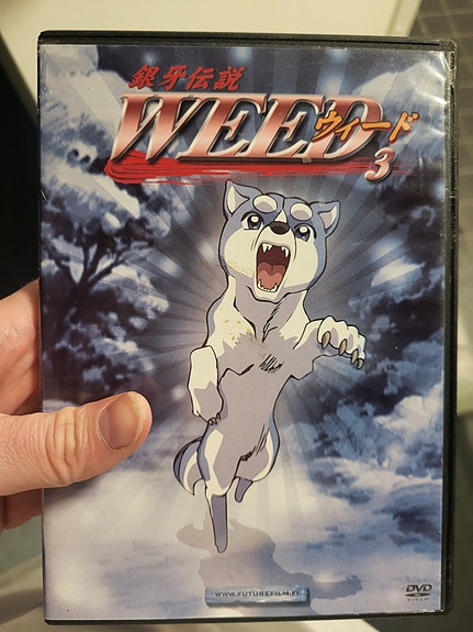 Hopeanuolen poika WEED