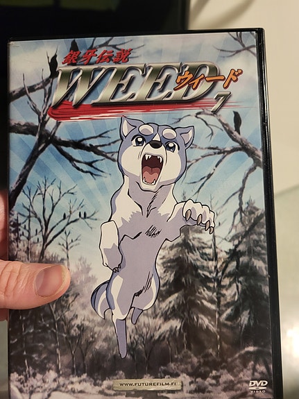 Hopeanuolen poika WEED 7