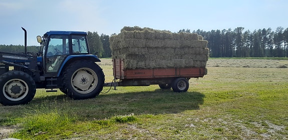 Kuivaivaa heinää pienpaalissa