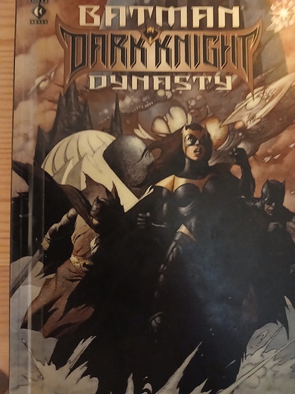 Batman: Dark Knight Dynasty, CSI miami, CSI: Dominos