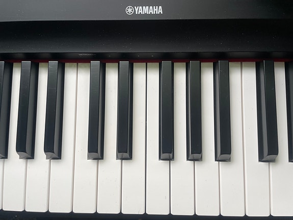 Yamaha sähköpiano P-155 tai P-255