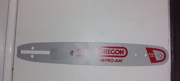 Oregon terälaippa