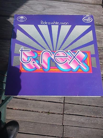 Vinyl Lp/T.Rex