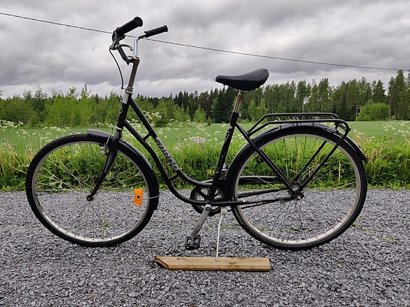 Sarda classic