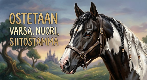 Ostetaan varsa, nuori tai siitostamma
