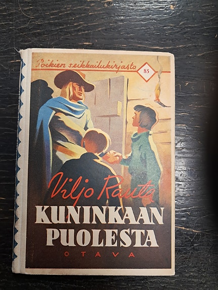 Viljo Rauta – Kuninkaan puolesta -kirja