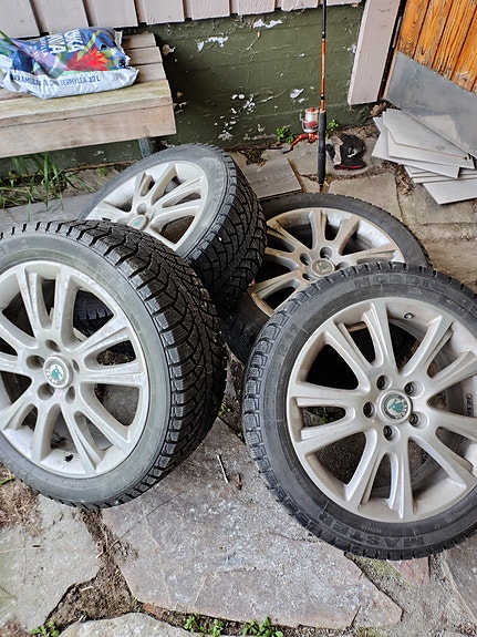 VAG, VW, Skoda, Audi, SEAT