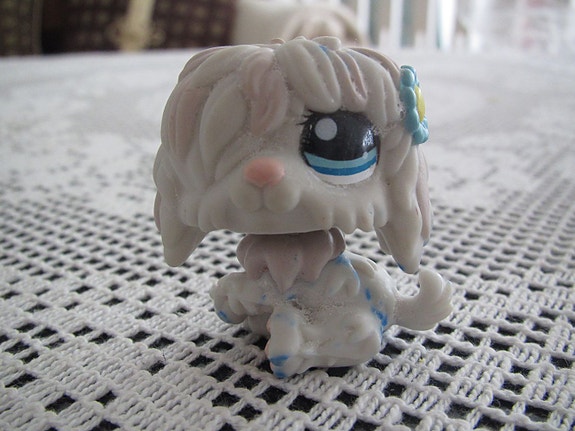 LPS koira