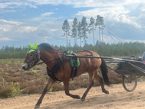 A-ponin hiittikärryt sekä B-ponille koppakärryt