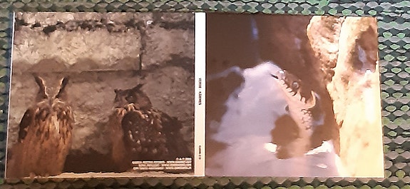 Verde - Kärmes CD