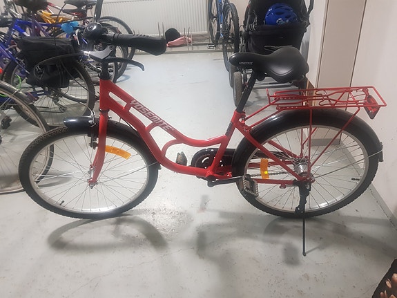 Nuorten polkupyörä.