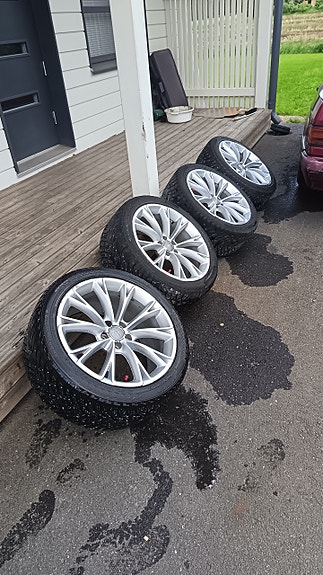 Audin 19" vanteet
